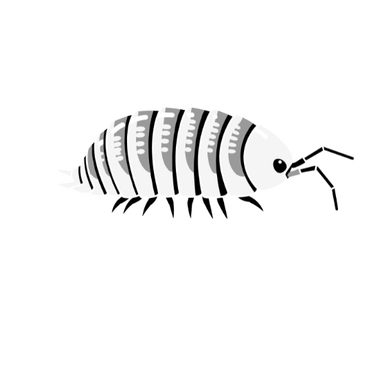 Length icon