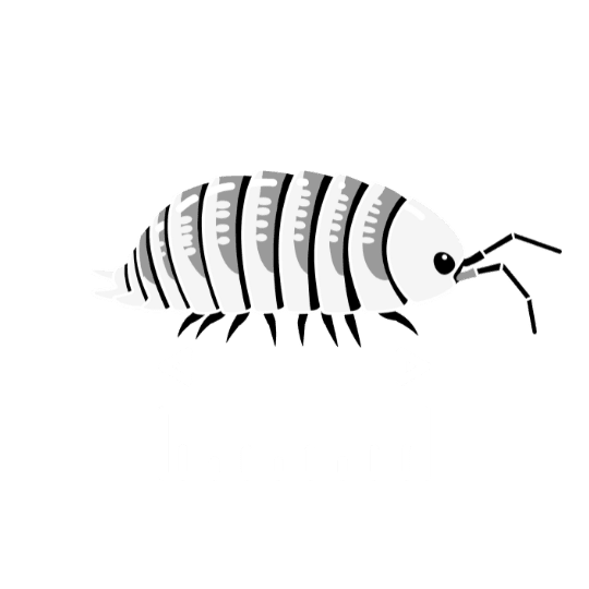 Length icon
