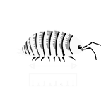Length icon