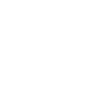 Rarity icon